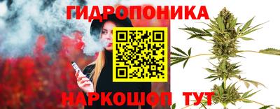 2c-b Будённовск