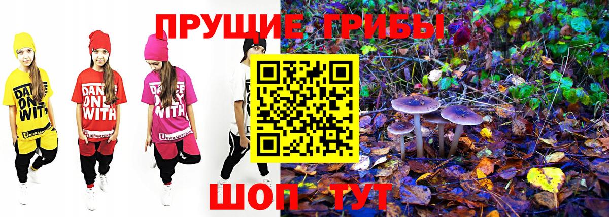 Галлюциногенные грибы прущие грибы  что такое   Кушва  Вход с VPN 